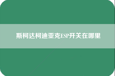 斯柯达柯迪亚克ESP开关在哪里