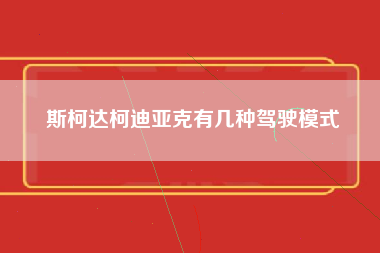 斯柯达柯迪亚克有几种驾驶模式