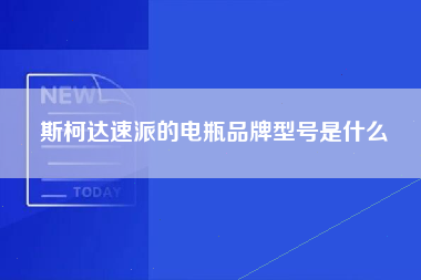 斯柯达速派的电瓶品牌型号是什么