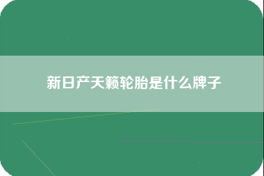 新日产天籁轮胎是什么牌子