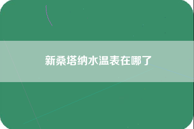 新桑塔纳水温表在哪了