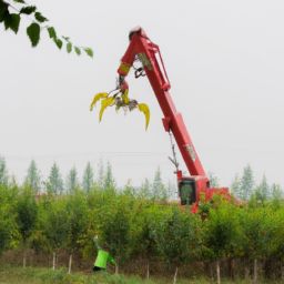 丰田霸道采用了什么悬架？