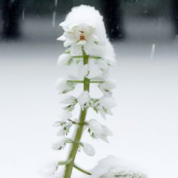 雪佛兰畅巡续航里程多长？