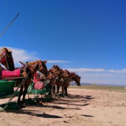 宝马2系旅行是进口的吗