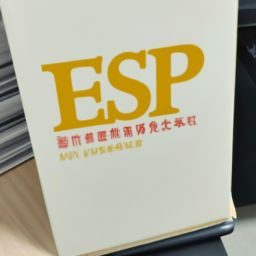 esp的中文含义是什么