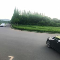 e照能开什么车